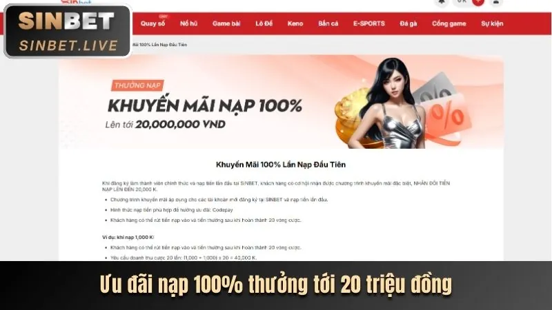 Hoàn trả hàng ngày/tuần tại nw88 nhà cái